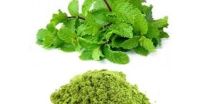 Mint Leaf Powder