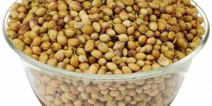 Coriander Seeds