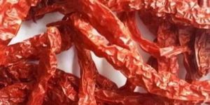 Dry Red Chilli