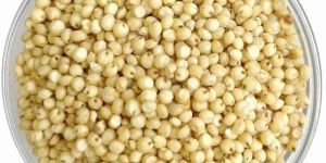 Jowar Millet Seeds