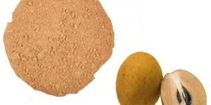 Chikoo Powder
