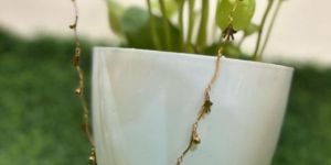 One Gram Gold Plated Chain