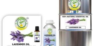 Lavender Oil