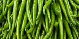Fresh Green Chilli