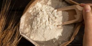 Wheat Flour
