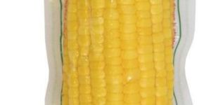 Cooked Sweet Corn Cob