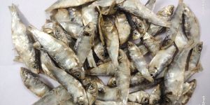 Dry Fish