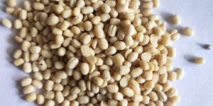 Indian White Gram Pulse