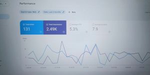 Website Optimization Service