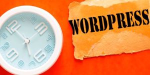 WordPress Development Services in Ahmedabad