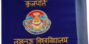 Blue Velvet Car Flag