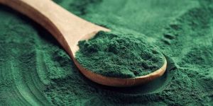 Spirulina Powder