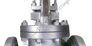Globe Valve