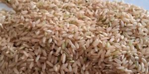 Brown Rice