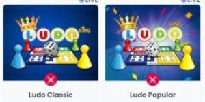 Ludo Tournament App Software