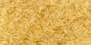 1509 Golden Sella Basmati Rice