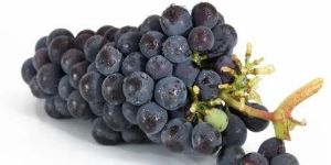 Fresh Black Grapes