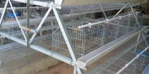 Chicken Cage
