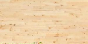 Maple Wooden Flooring