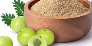 Aloe Vera Extract Powder