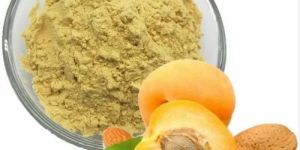 Apricot Kernel Extract