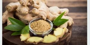 Dry Ginger Extract
