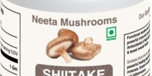 Shiitake Mushroom Extract Powder