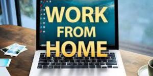 Online Data Services