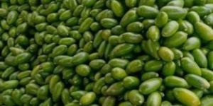 Fresh Assam Kaji Lemon