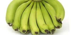 Fresh Robusta Banana