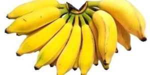 Fresh Karpooravalli Banana