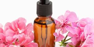 Geranium Oil