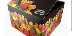 5 Ply Mango Packaging Box