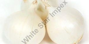 a Grade Maharashtra Fresh White Onion