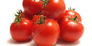 Fresh Organic Tomato