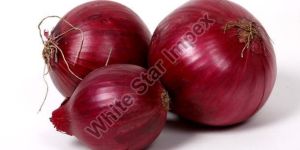 Fresh Red Onion