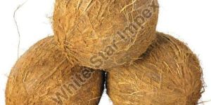Fully Husked Coconut