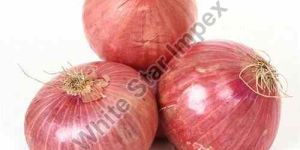 Organic Fresh Onions