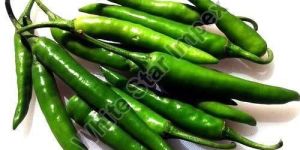 Organic Green Chilli