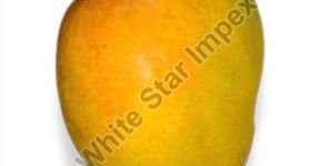 Organic Totapuri Mango