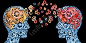 Management Consultancy Services