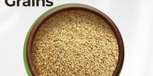 Foxtail Millet