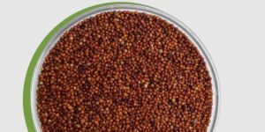 Ragi Rava