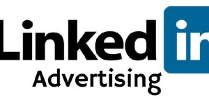 Linkedin Marketing Promotion Service