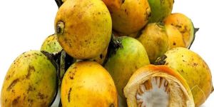 Fresh Yellow Betel Nuts