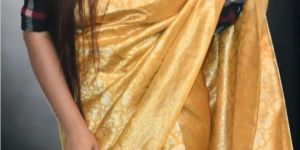 S2-516 Banarasi Saree