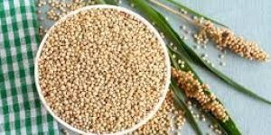 Organic Sorghum Millets, FSSAI Certified