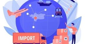 Logistics Software Services