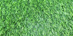 Artificial Grass