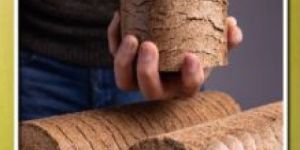 Bio Mass Briquettes